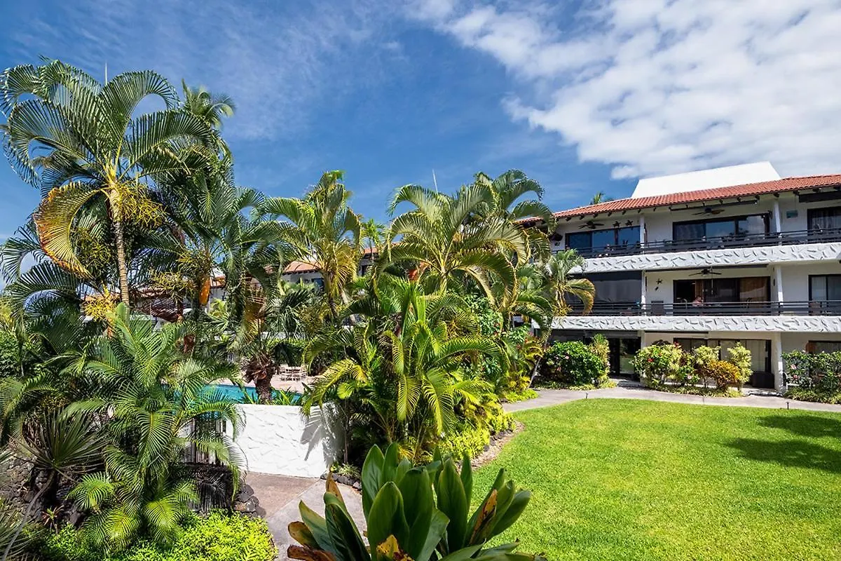 Gem Of The Kona Coast Relax In The Pool Or The Saltwater Pool Nearby Cdea207 Apartment Kailua-Kona